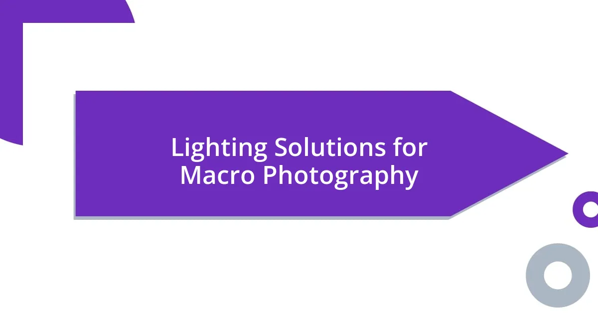 Lighting Solutions for Macro Photography